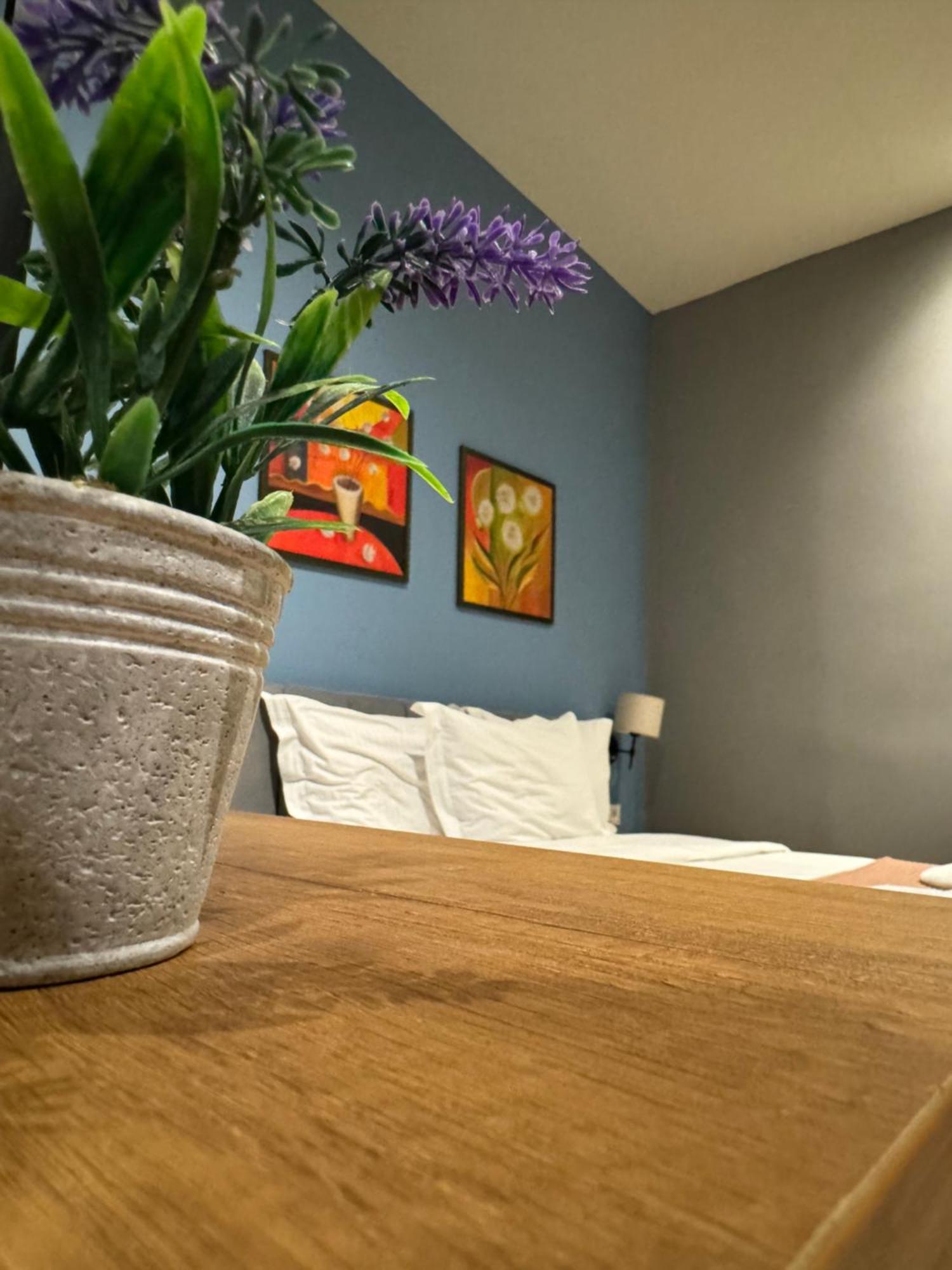Hotel Tirona Тирана Екстер'єр фото