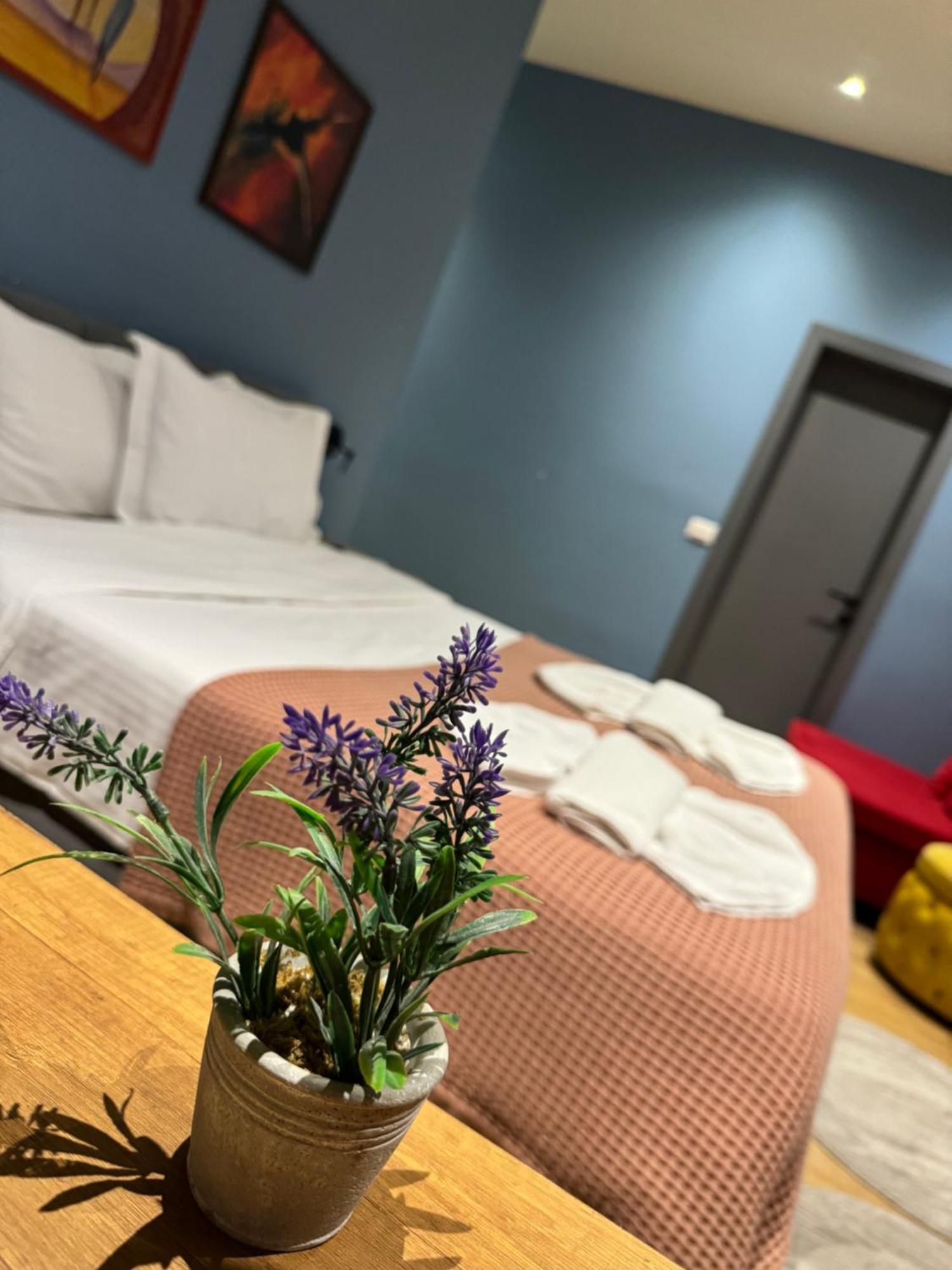 Hotel Tirona Тирана Екстер'єр фото